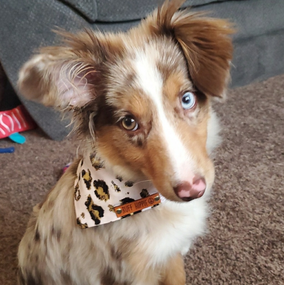 Meet your Posher, Kiersten